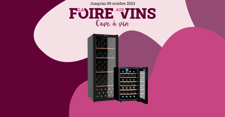Foire aux vins d'automne - Découvrez tous nos bons plans caves à vin