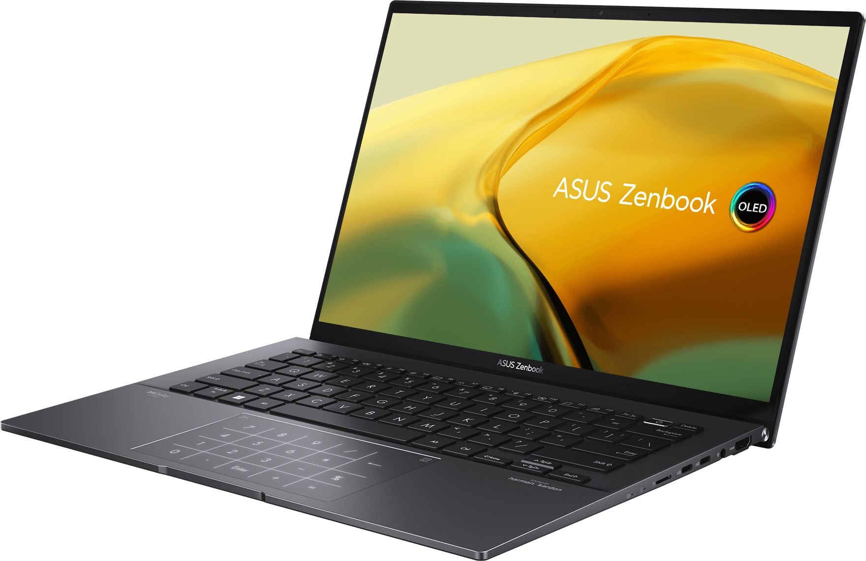 PC portable 14 pouces ASUS  - 90NB0W96-M01KU0