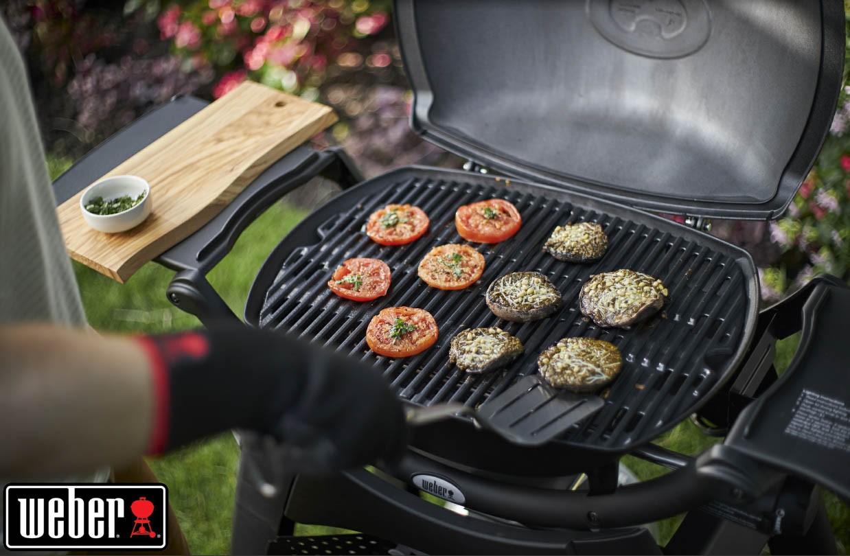 Barbecue gaz WEBER - Q2200 Barbecue gaz WEBER - Q2200