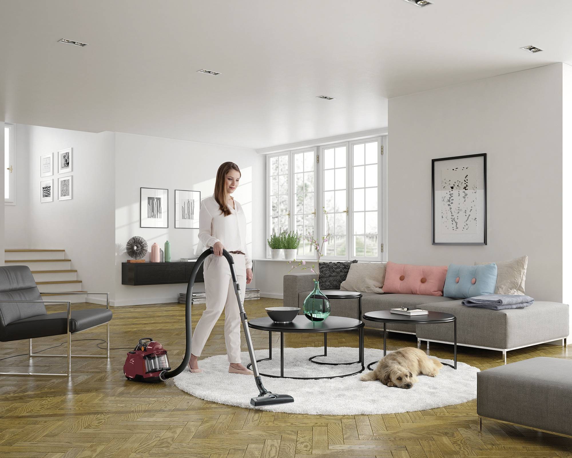 Aspirateur traîneau ELECTROLUX sans sac Silent Performer Cyclonic 650W Rouge - ESPC72RR