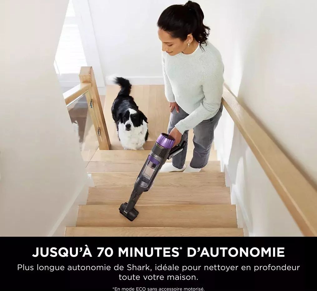 Aspirateur balai SHARK Powerdetect 70min Flexology Gris - IP3251EUT