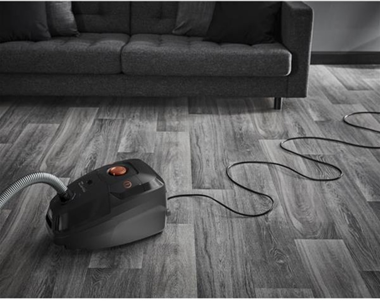 Aspirateur traîneau ROWENTA 900W Noir - RO6164EA