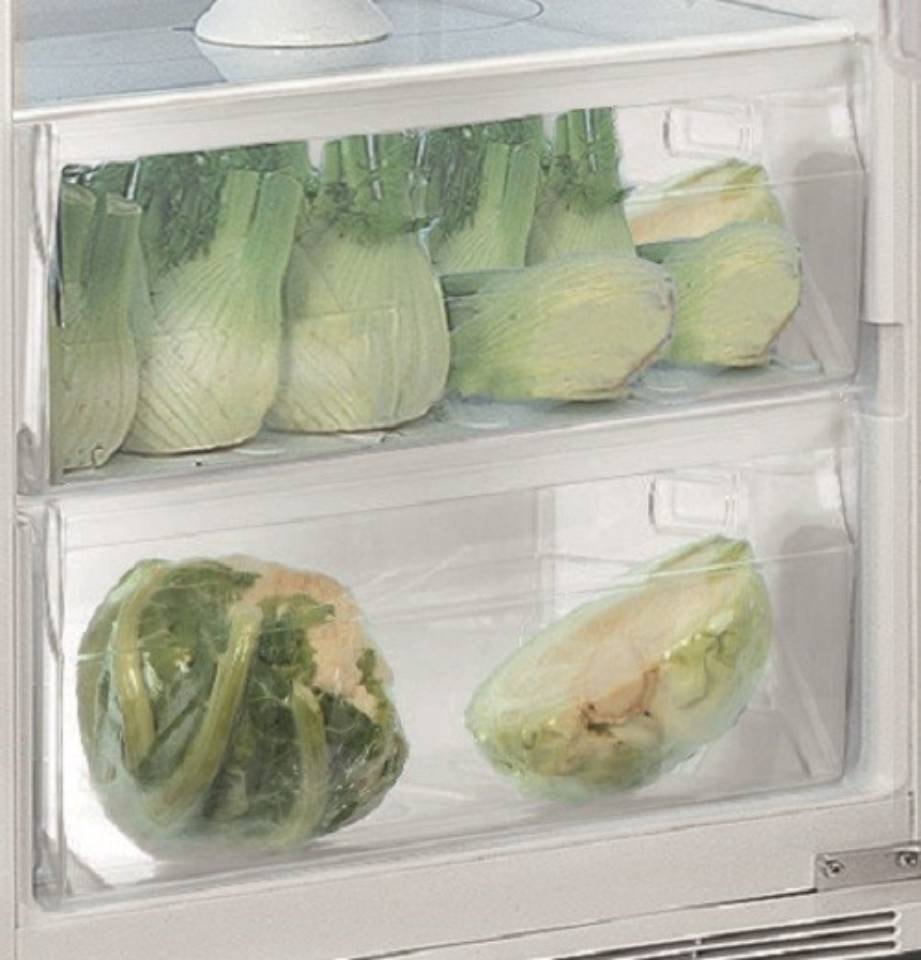 INDESIT Réfrigérateur encastrable 1 porte  - INS18011