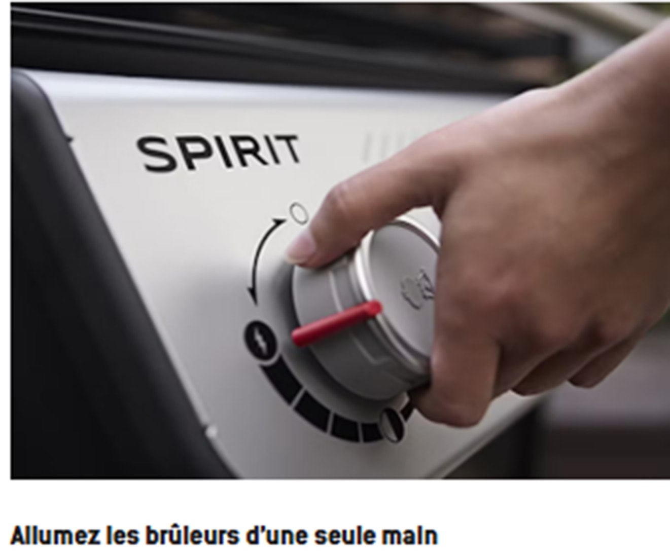 Barbecue gaz WEBER 8200W, 4 brûleurs, Noir - SPIRIT-E410-1500887