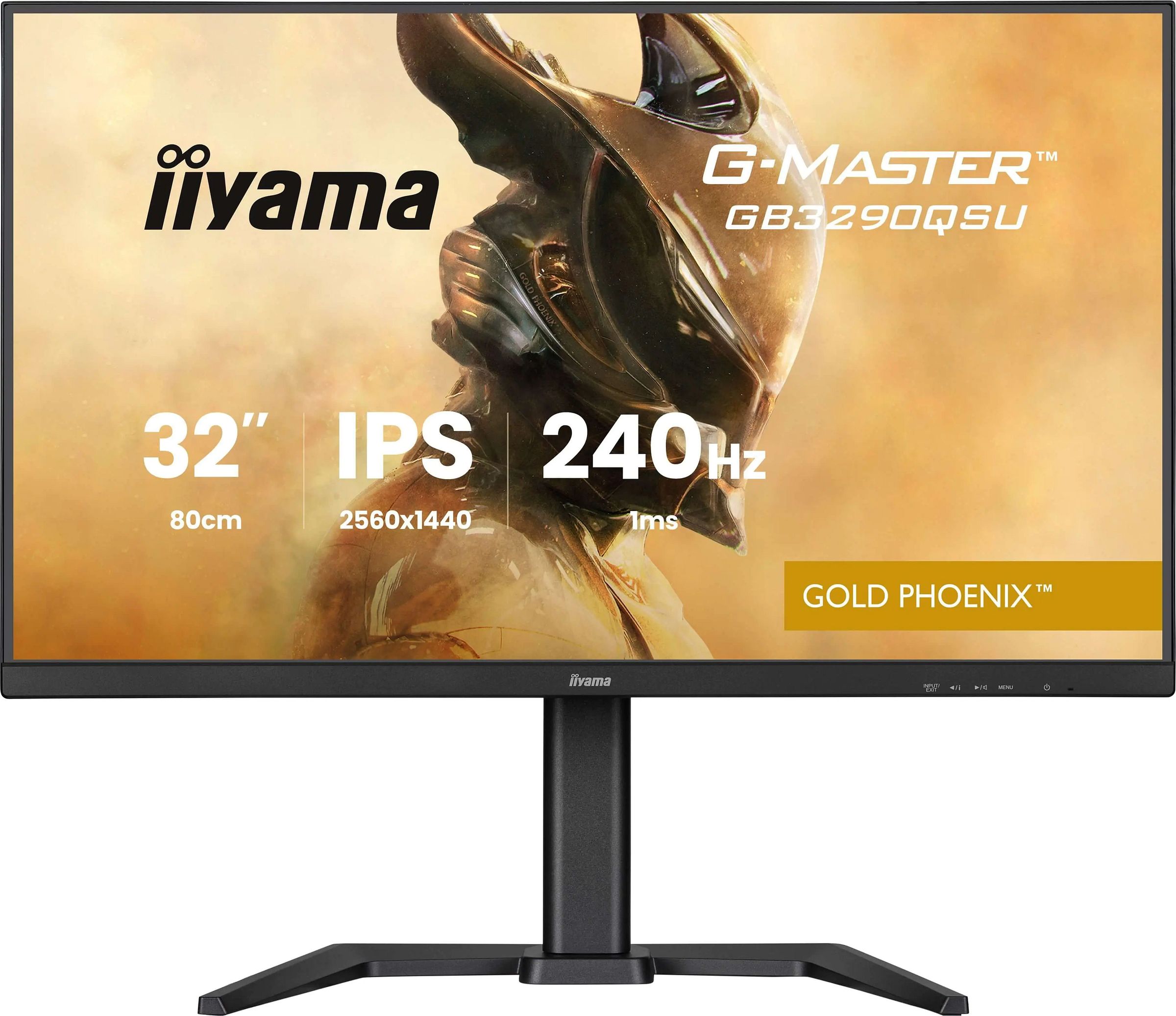 Ecran 32 pouces QHD IIYAMA IPS DisplayPort Noir IIGB3290QSUB1